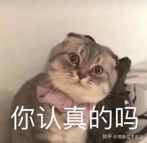 王者荣耀有哪些不是很难但挺厉害的英雄,可以推荐女生去练
