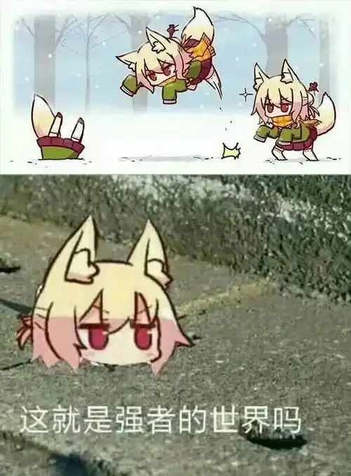 表情强者的世界表情包
