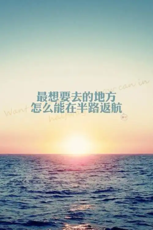 人生唯一值得allin的只有自己

