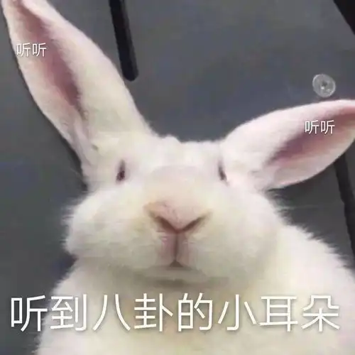 去他x的2020一秒一个高能梗,难怪热搜爆成这样
