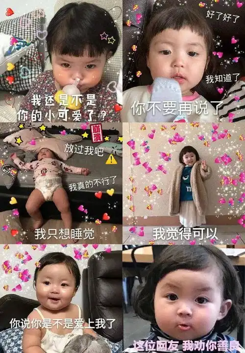 幽默图片搞笑段子整套表情包,个性可爱,抱走了
