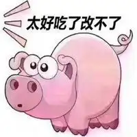笨猪表情包搞笑图片
