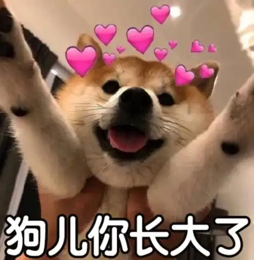 太多搞笑的表情包了,大家快收藏起来
