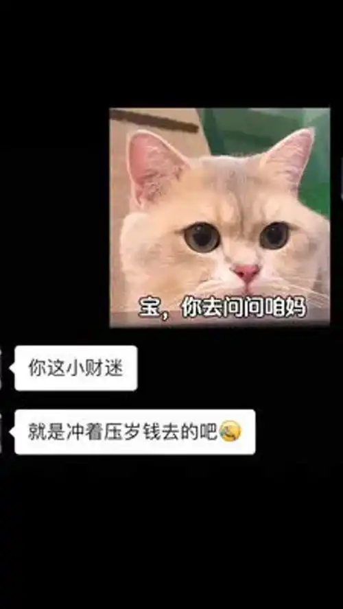 宝,可以去你家吃年夜饭吗,不行的话我也可以拿了压岁钱就走表情包

