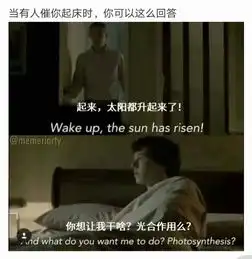 神探夏洛克中你想让我光合作用吗是哪一集
