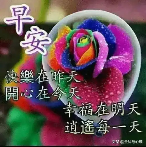 特别好看的早上问候动态表情图片大全微信群早上问候表情图片
