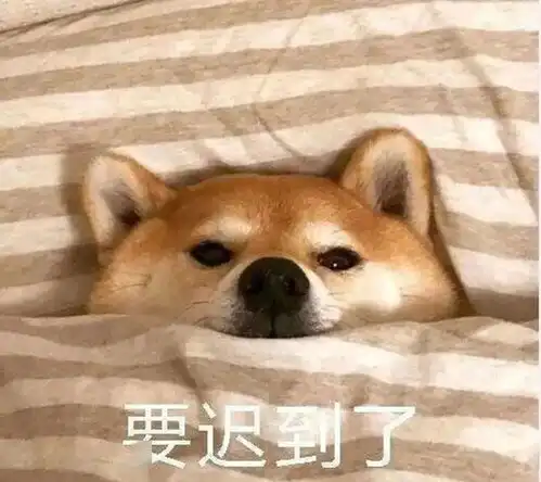 如何不痛苦地早起
