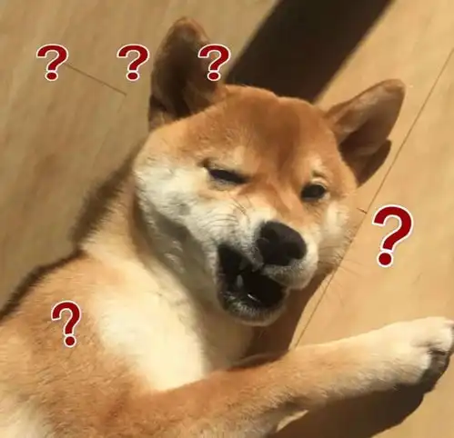 搞笑表情包宝贝可以别吃了吗
