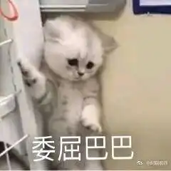 带上这对耳夹,你就是小仙女
