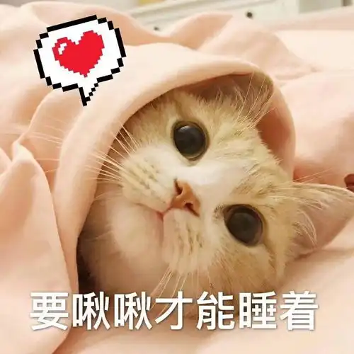 有什么适用于和老公男票撒娇的可爱表情包
