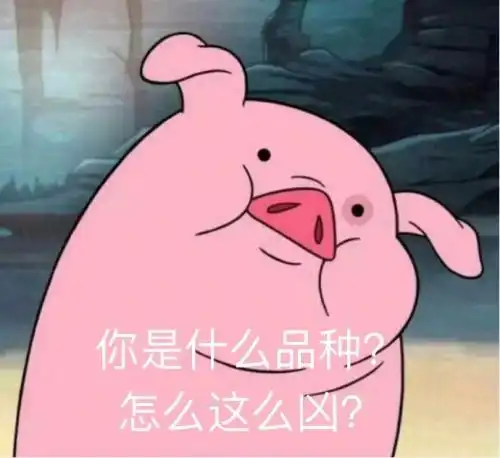 笑话放假去同学家玩,阿姨从厨房出来问我玩了一天饿不饿啊段子
