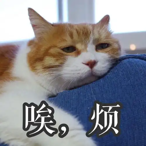 一只忧伤的瞄表情包
