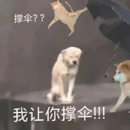 超可爱的小狗狗撑伞表情包
