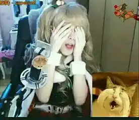 这个是直播吗可以看的话是在哪里看啊,第一次看见穿cos服直播的好想看看呐,这个人是谁啊求这个人
