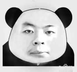 怎么把照片做成表情

