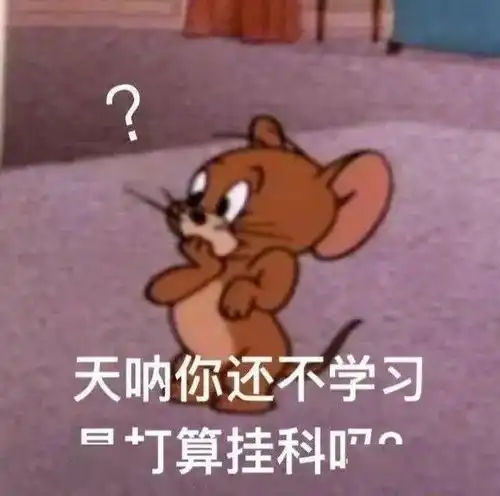 期末考试的大手拍了拍你
