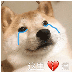 表情包来波傻狗
