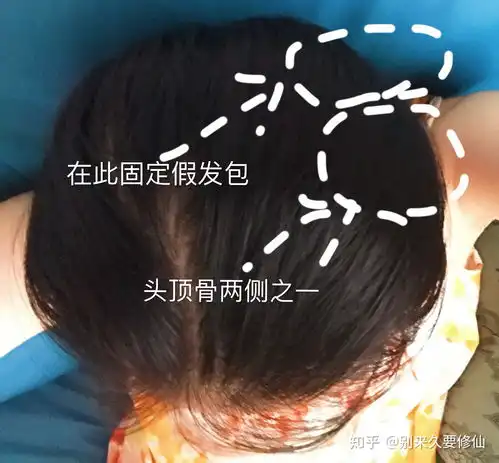 汉服发型假发包佩戴技巧
