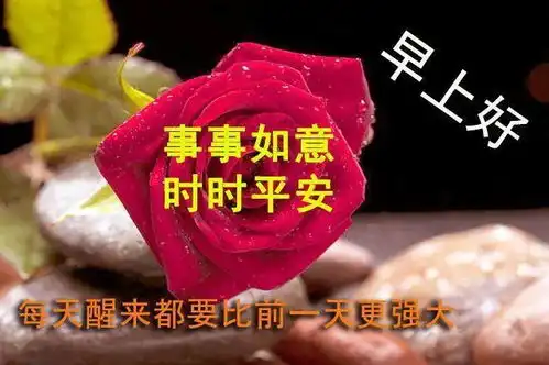 微信早安励志问候语愿你的生活,充满着幸福欢笑和喜悦风雨人生随风而逝网易订阅
