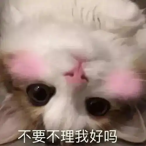 表情包更新不好意思草率了猛女害羞表情包

