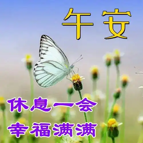 中午好图片大全,中午好问候语图片,午安问候图片大全
