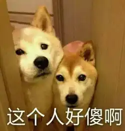 战狼2角逐奥斯卡引热议历年逐奥国产片你都看过吗
