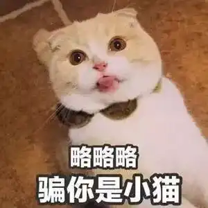 和易烊千玺谈恋爱周冬雨,快交出你的斩男秘籍
