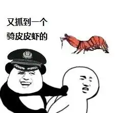 皮皮虾我们走开启记仇模式17.2.7

