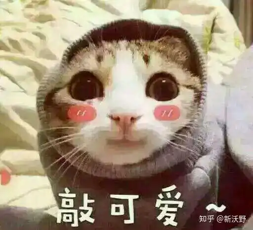 冬天可以喝洋槐蜜吗冬天蜂蜜会结晶吗
