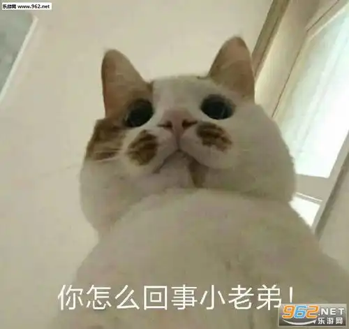 你怎么回事小老弟表情包抖音抖音我让你抖音表情包图片下载乐游网游戏下载
