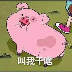 长科商院女生减肥那点事儿

