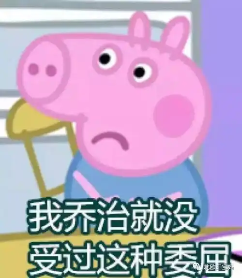 生一胎要钱,生二胎要命宫斗篇

