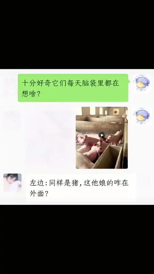 他们脑袋里每天都在想啥呢聊天记录沙雕日常人类迷惑行为表情包小可爱已上线
