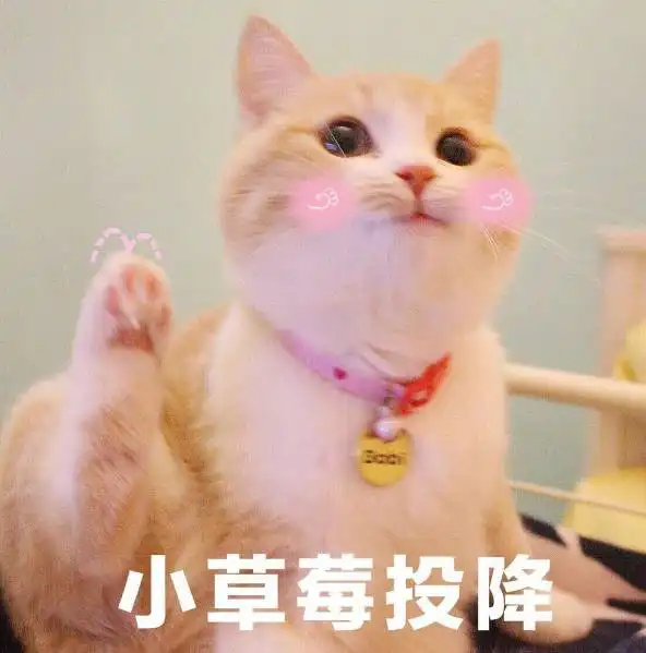 沉迷吸猫,日渐消瘦......至美奇葩校园
