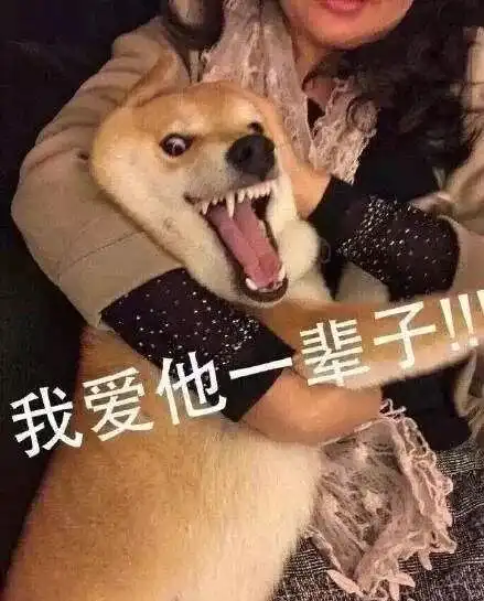 性冷淡的年轻人
