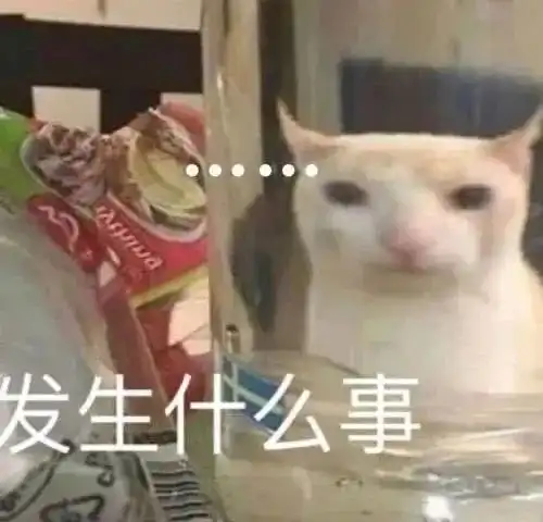 表情包杂七杂八斗图精选系列含动图20210904
