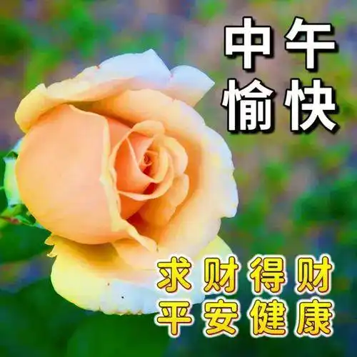 中午好图片大全,中午好问候语,中午好温馨短句,午安吉祥

