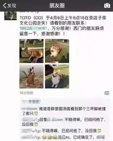 爱狗走失仅2小时,再相见竟已被活剥皮
