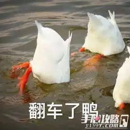今天也要开心鸭是什么意思
