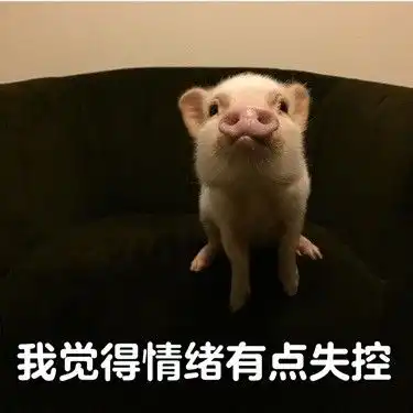 关于银行柜员的12个段子......
