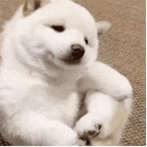 傻狗表情要不你还是把我删了吧
