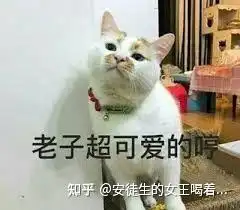 雅思经验分享2个月雅思网课成功拿下7.5分
