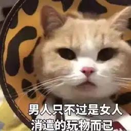 气死男朋友的表情包想泡我可以,先磕个头
