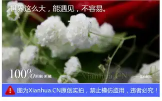花的嫁纱我对你的爱,永不会变
