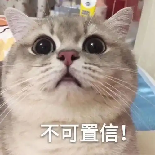 表情包精选减肥算了吧

