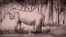 神曲隔壁泰山好多人不敢开唱,而沙画背景超搞笑
