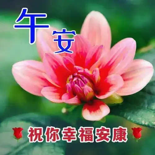 中午好最新精美图片,午安问候图片,一帆风顺

