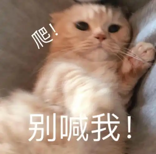 如何把家常菜,做成吃不起的样子
