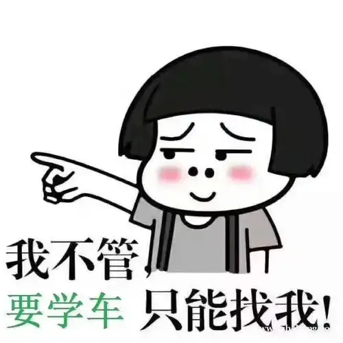 鄂州没考驾照的赶紧看这家驾校
