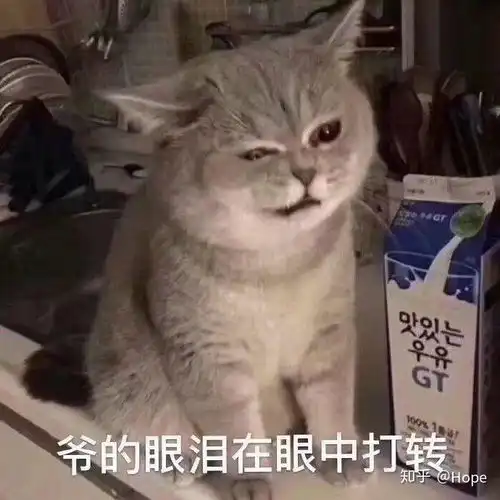 微信聊天有没有搞笑,幽默风趣的表情包可以分享下呢
